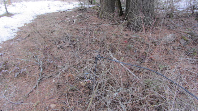 IMG_0013.JPG