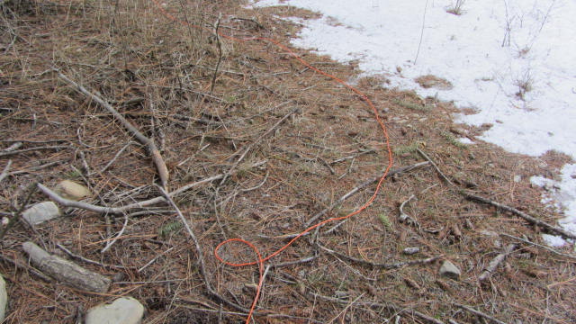 IMG_0015.JPG