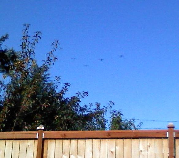 flyover.jpg