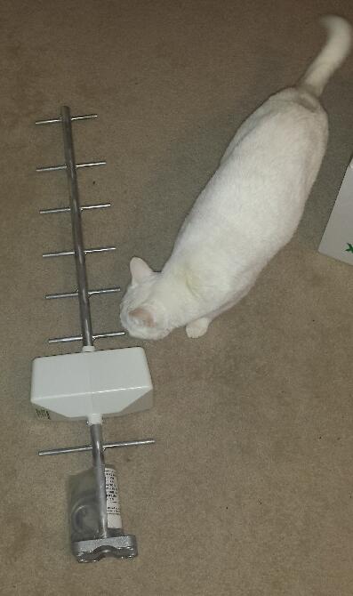 Cat Approved.jpg
