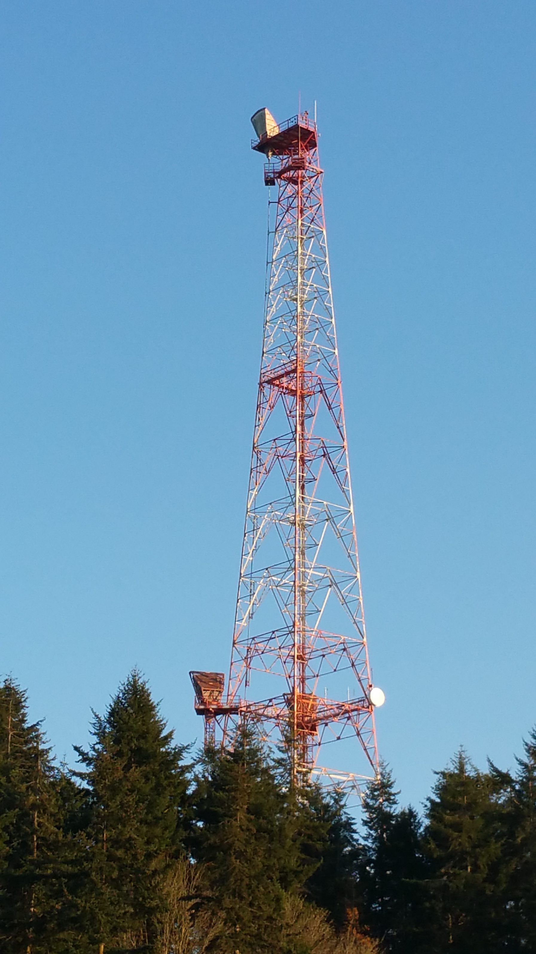 205.jpg