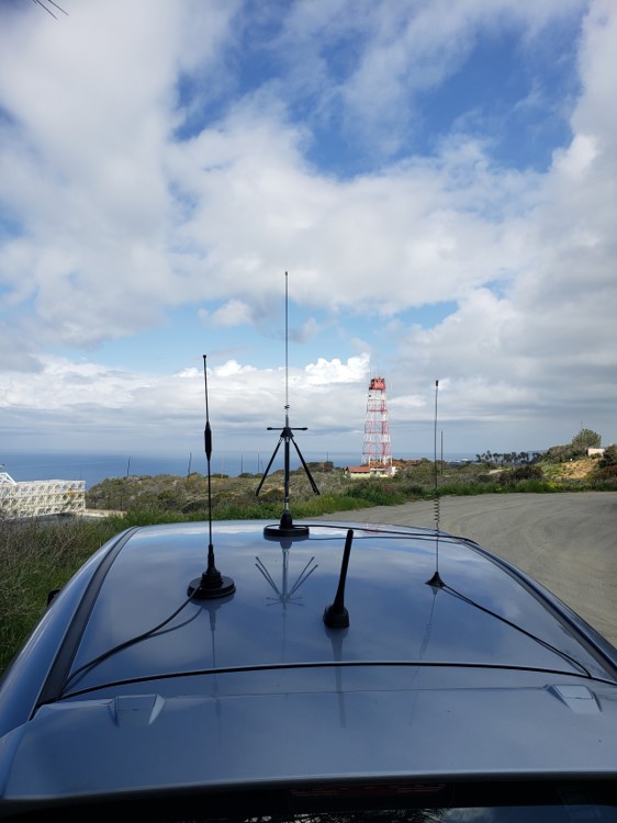 PLNS- TRANSDEC.jpg