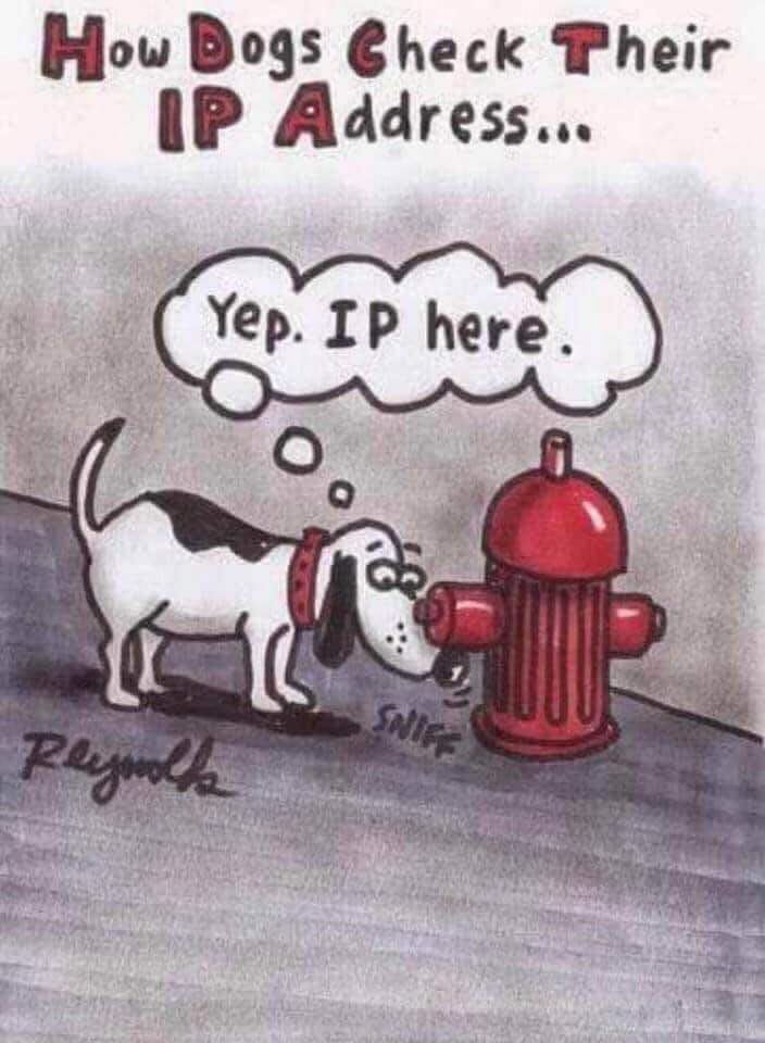 ip address.jpg