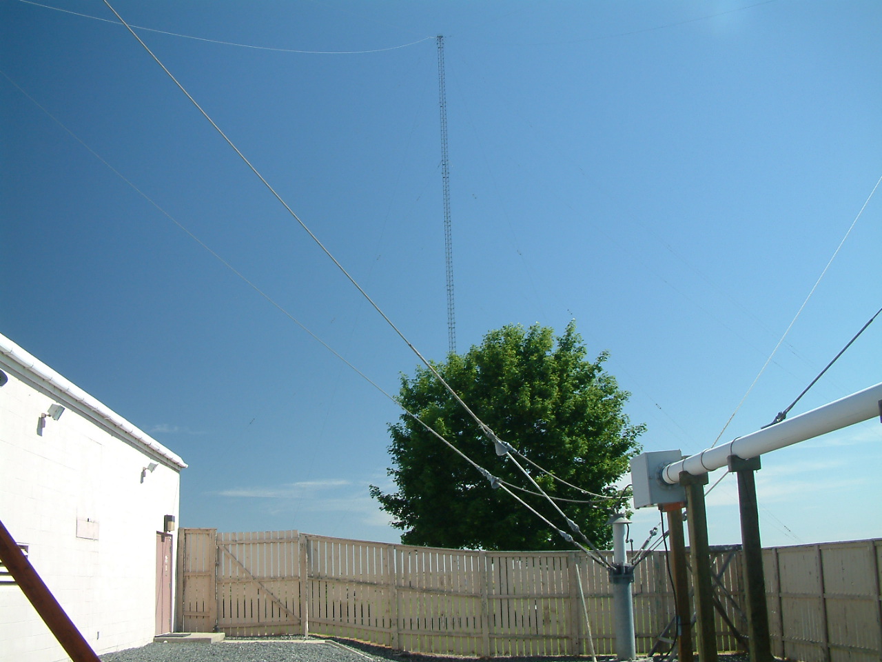 DSCF0374.JPG