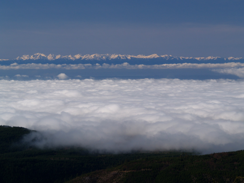 P2173648.JPG