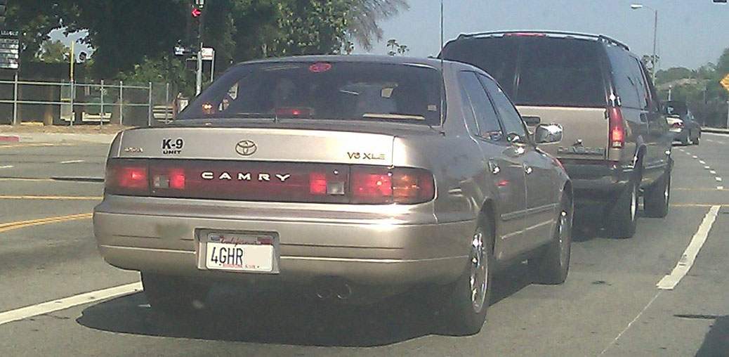 IMAG0030.jpg