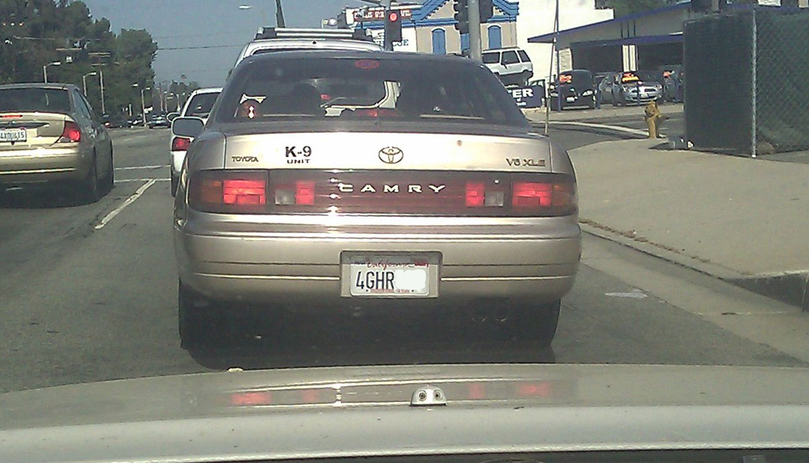 IMAG0031.jpg