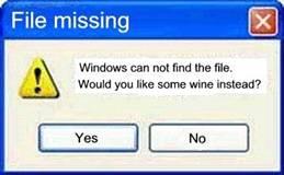 windows.JPG