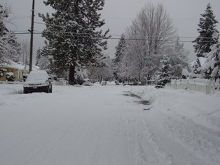 street.JPG